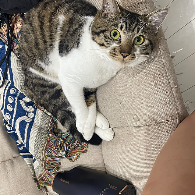Mikaさんの実例写真
