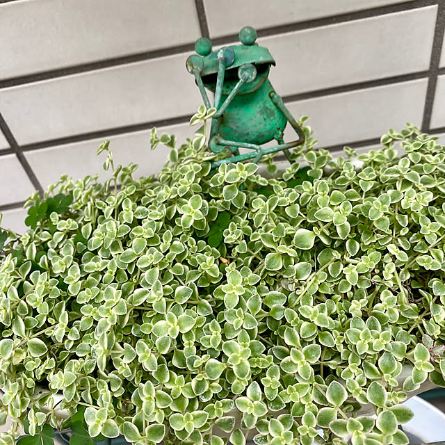 YuuKoさんの部屋