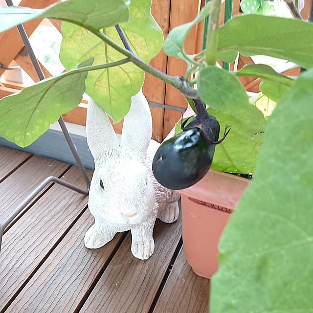 mariaさんの実例写真