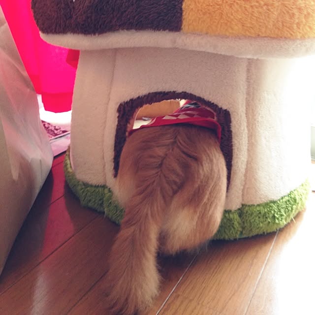 kanaeさんの実例写真