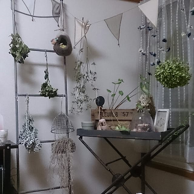 リビング/観葉植物/植物/ドライフラワーのインテリア実例 - 2015-09-28 22:02:26