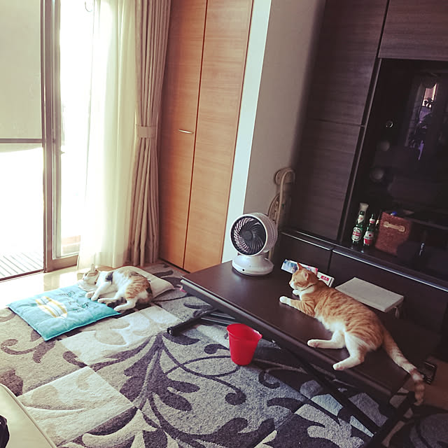 akiさんの実例写真