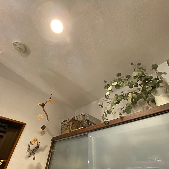 壁/天井/天井/花のある暮らし/植物に癒される/いいね！ありがとうございます◡̈♥︎...などのインテリア実例 - 2023-10-04 18:43:59