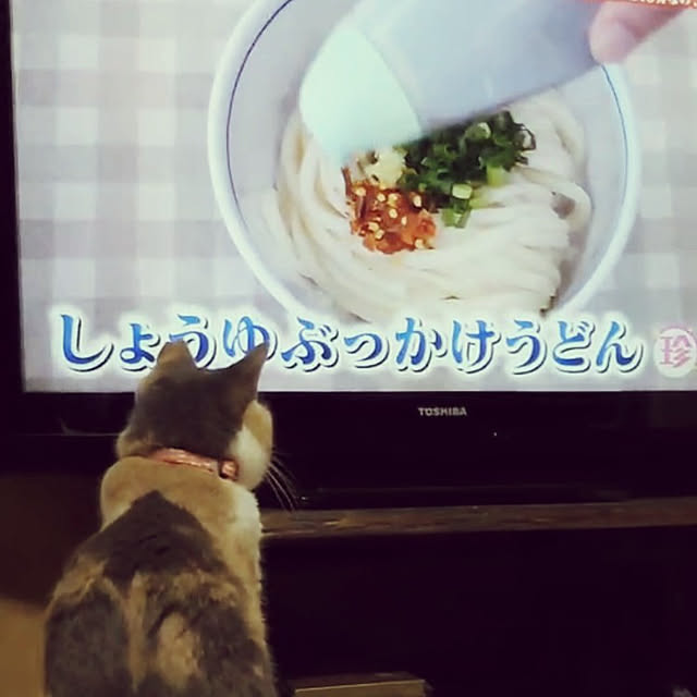 fukuさんの実例写真
