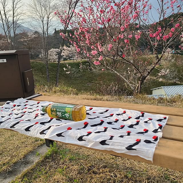 Rubiconさんの部屋