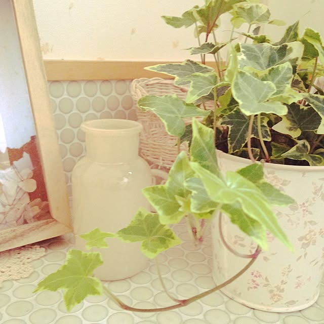 eryさんの実例写真