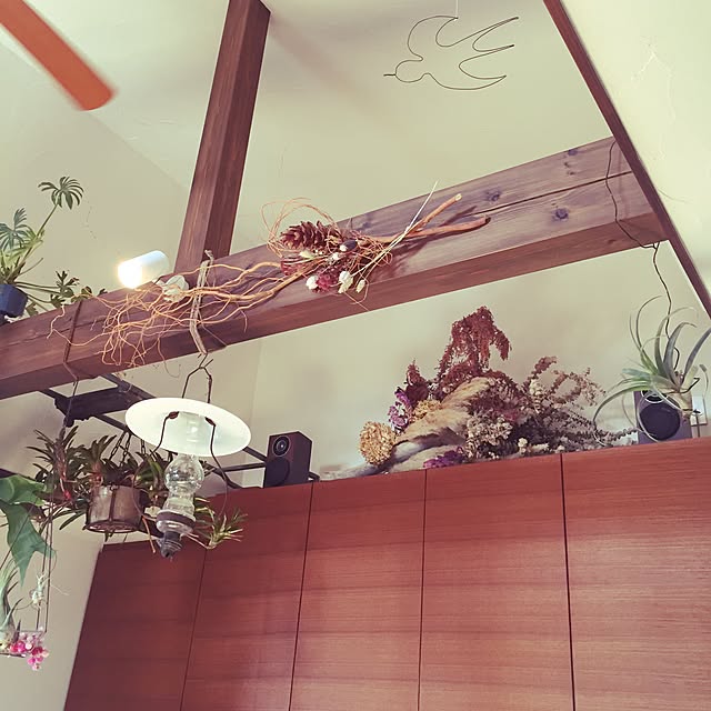 yoshikosanさんの実例写真