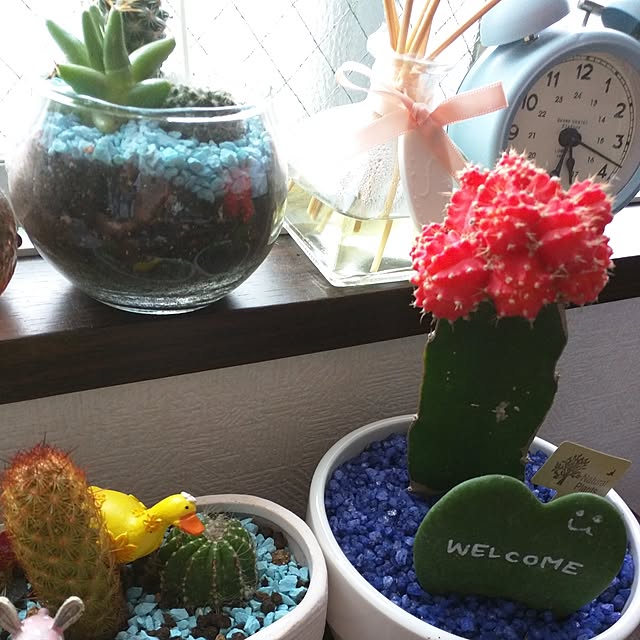 Franさんの実例写真
