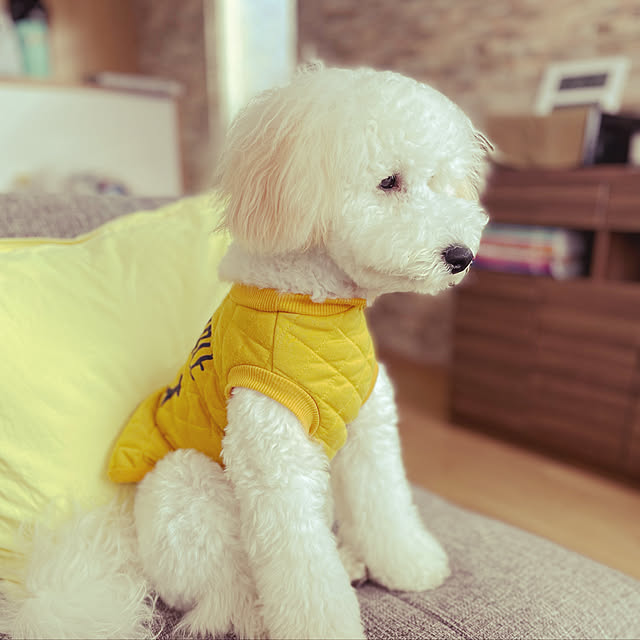 tnrpechikoさんの実例写真