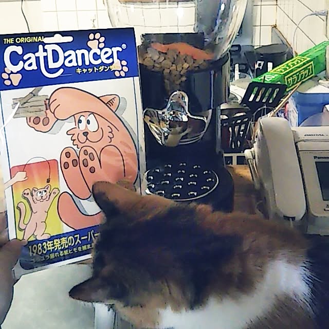 yukieさんの実例写真