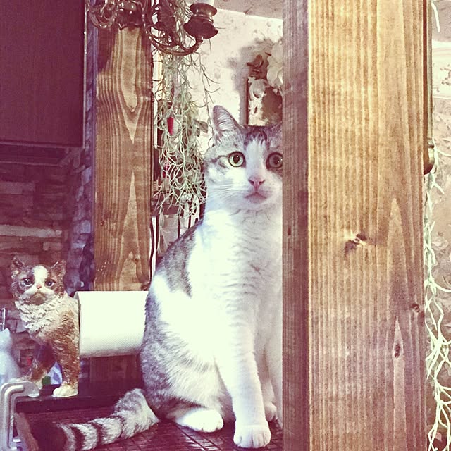 emmyyさんの実例写真