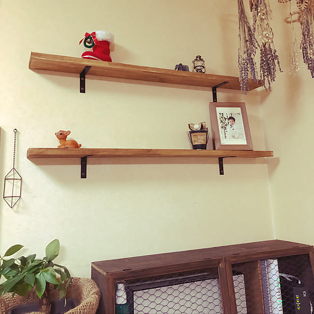 棚/DIY/セリア/観葉植物/雑貨...などのインテリア実例 - 2017-12-31 13:42:42