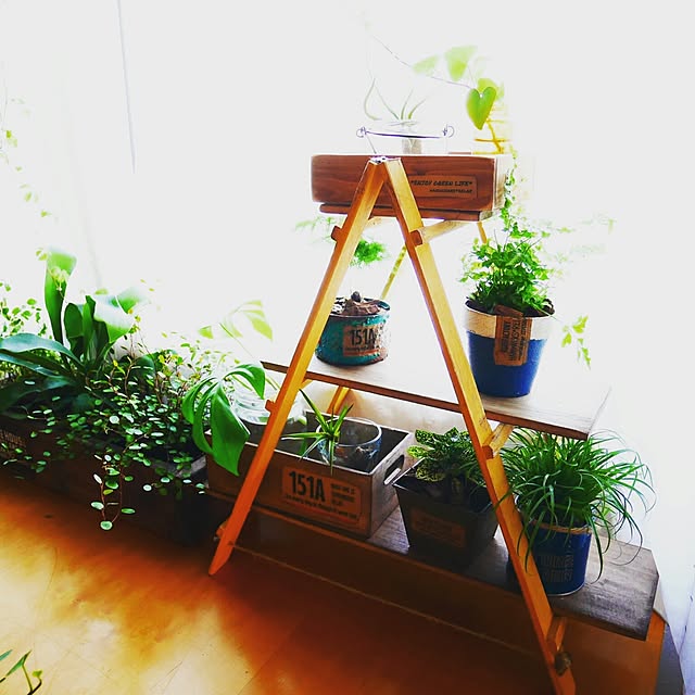 andante365さんの実例写真