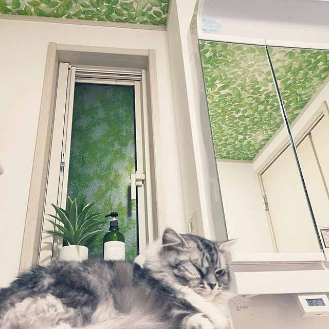annetina374さんの実例写真