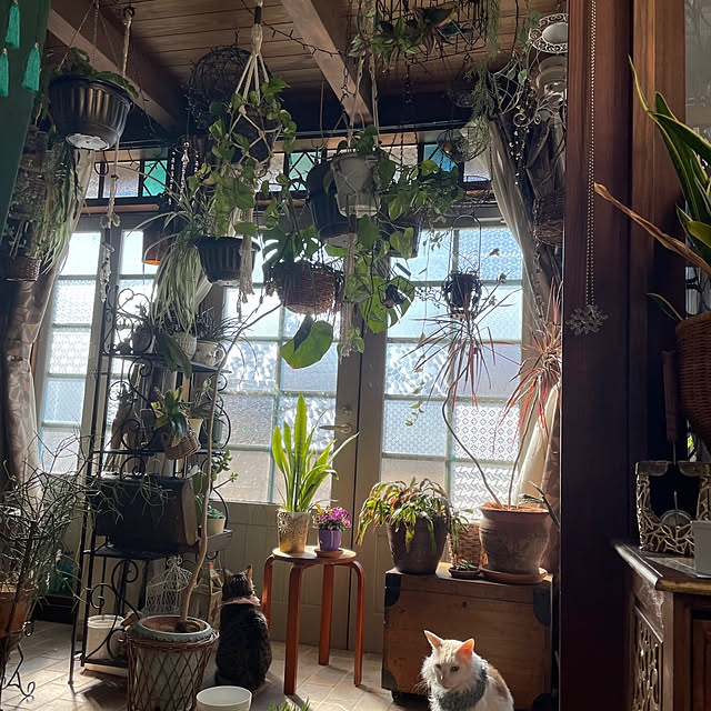 shigimiさんの部屋