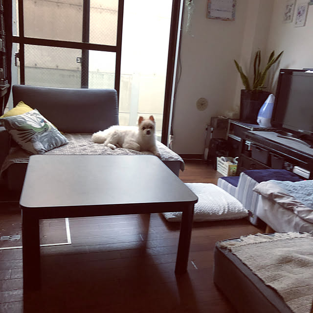 sacchiさんの部屋