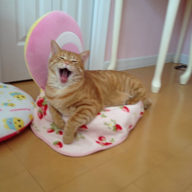 ohagiさんの実例写真