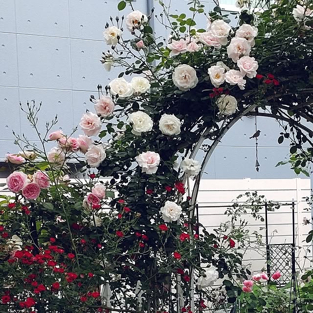 Bienvenueさんの部屋