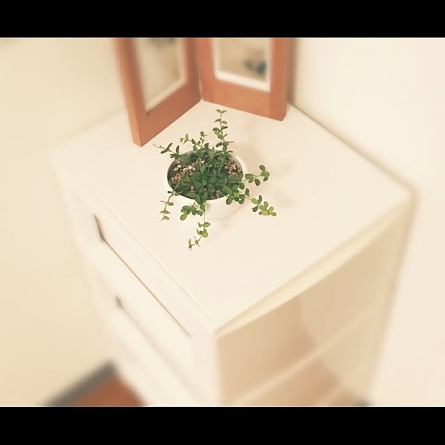 SANKAさんの実例写真
