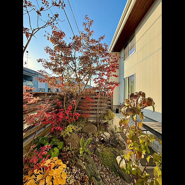 tamabaka1971さんの実例写真