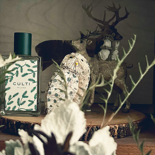 DAYONEさんの実例写真