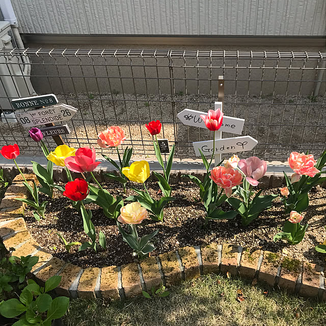 yukoさんの実例写真