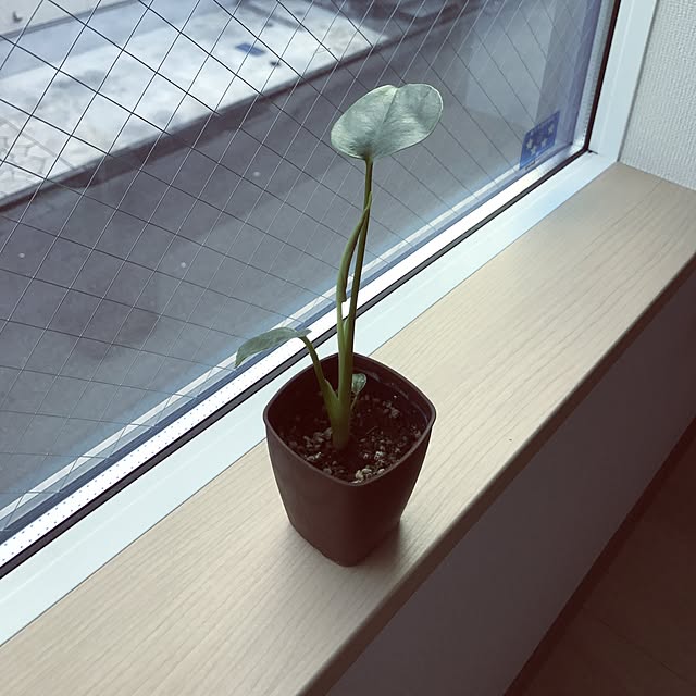 yasuoさんの実例写真