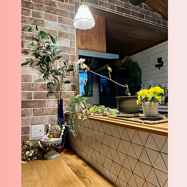 cotaさんの部屋