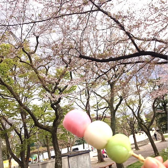moonさんの実例写真