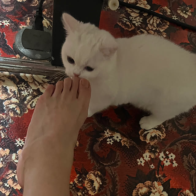 AYUKOさんの部屋
