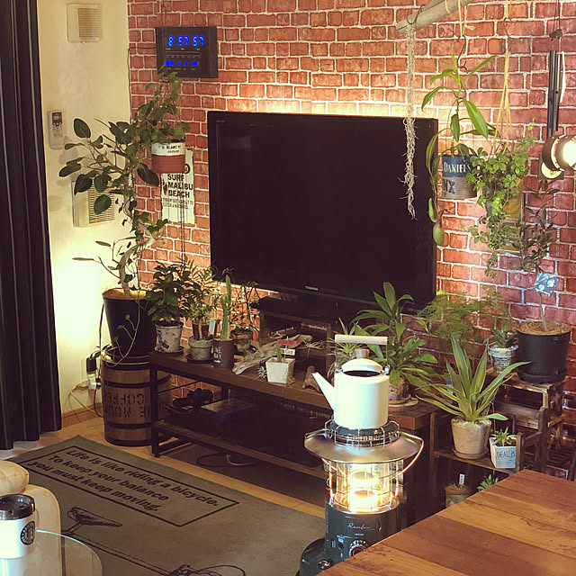 DIY/観葉植物/ニトリ/一人暮らし/照明...などのインテリア実例 - 2020-03-28 15:01:15