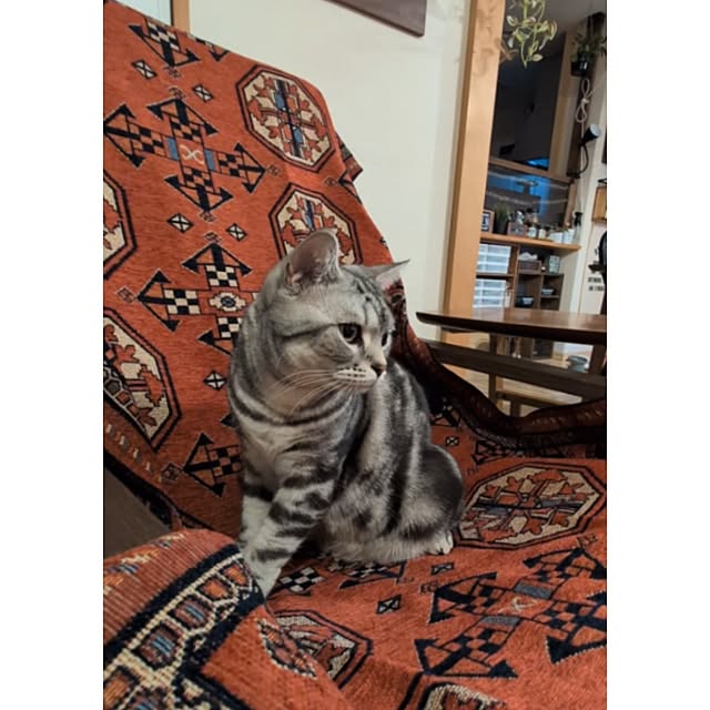 lovepeaceさんの部屋