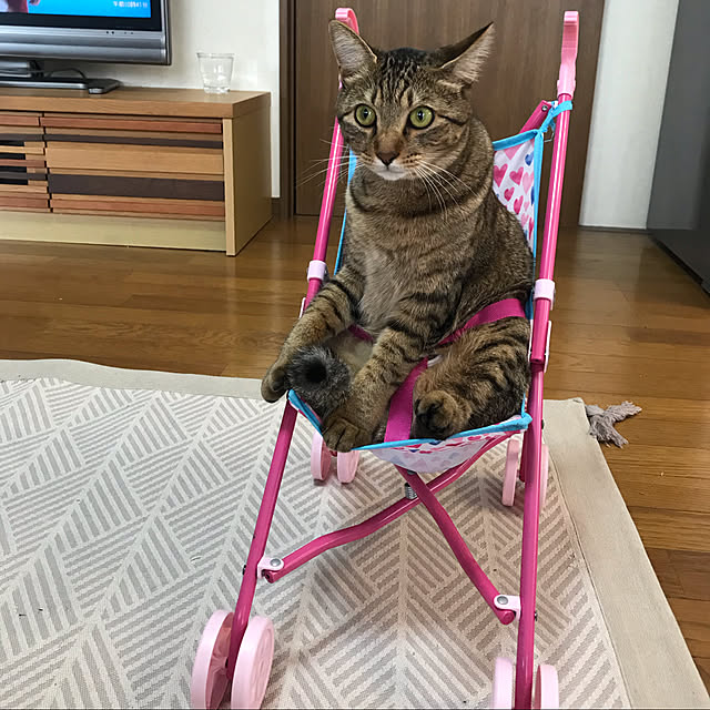 chiitanさんの実例写真