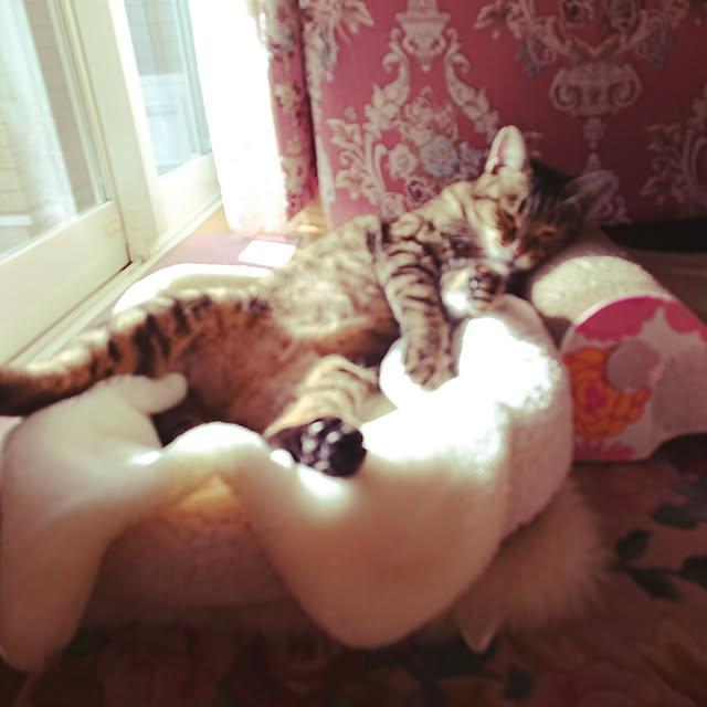 lilyさんの実例写真