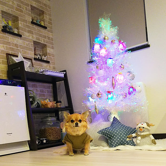 kojikojiさんの実例写真