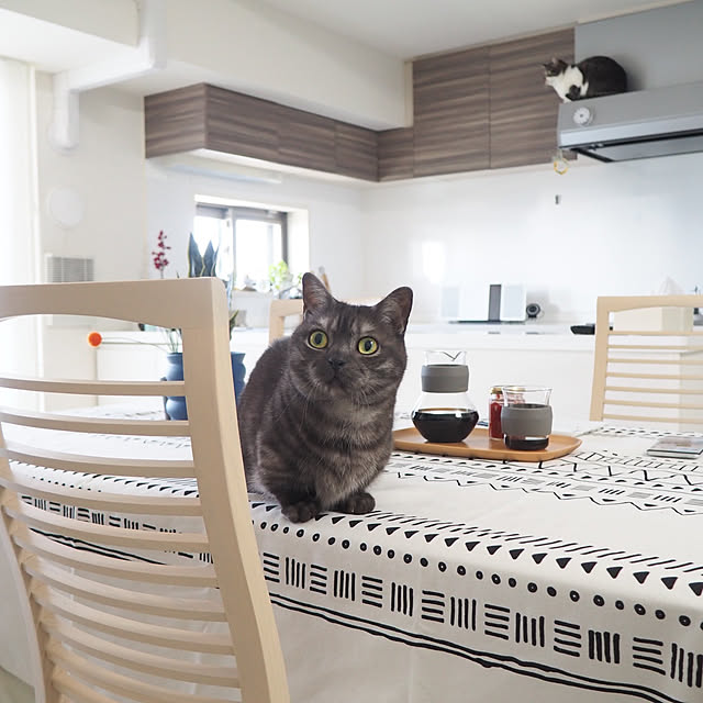 tomatoさんの実例写真