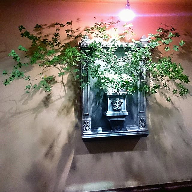 Gravityさんの実例写真