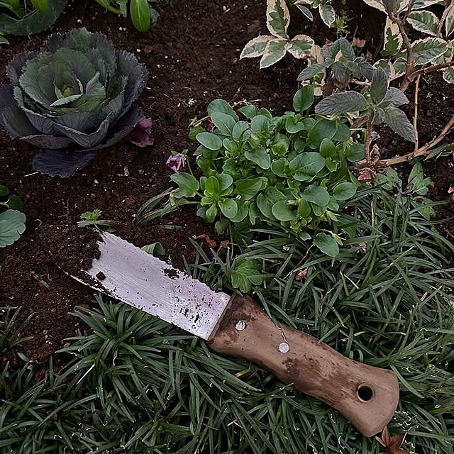 Royal_Gardeners_Clubさんの実例写真