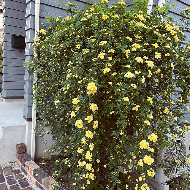 sorari25さんの部屋