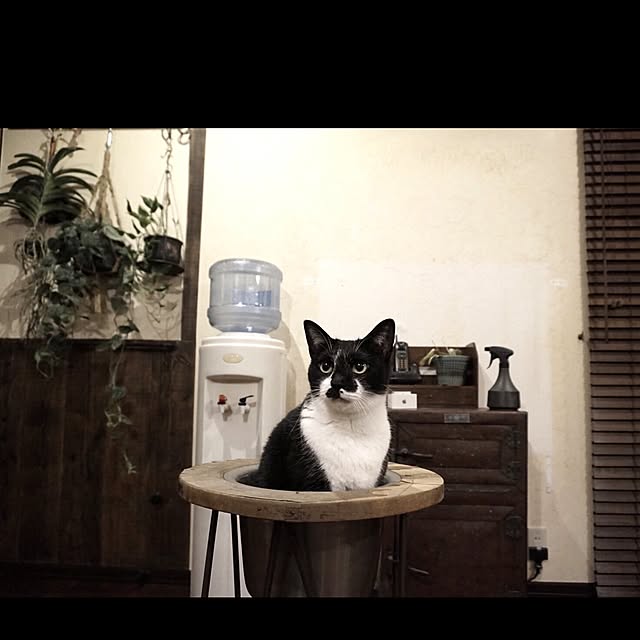 jnkaiさんの実例写真