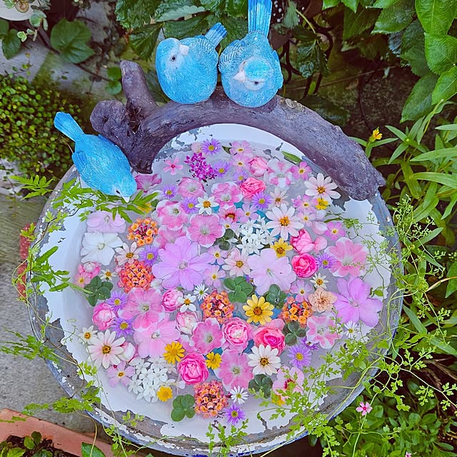 mocomocoさんの実例写真
