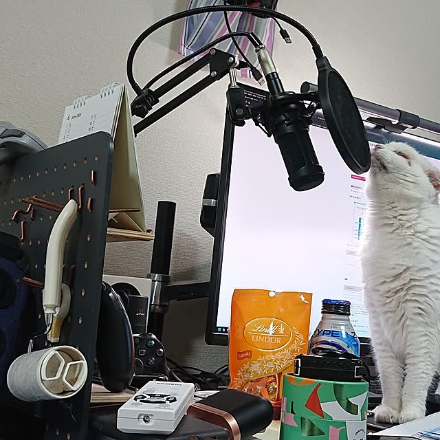NOAHさんの部屋