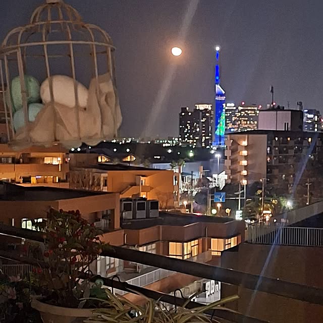 hakata-baさんの実例写真