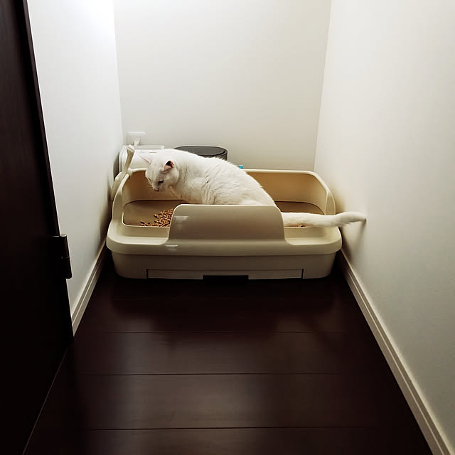 ymmtさんの実例写真