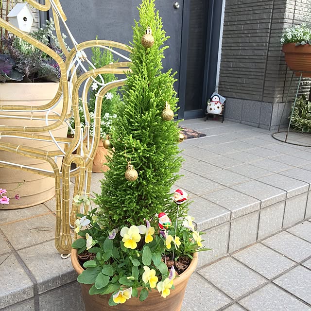 amiさんの実例写真