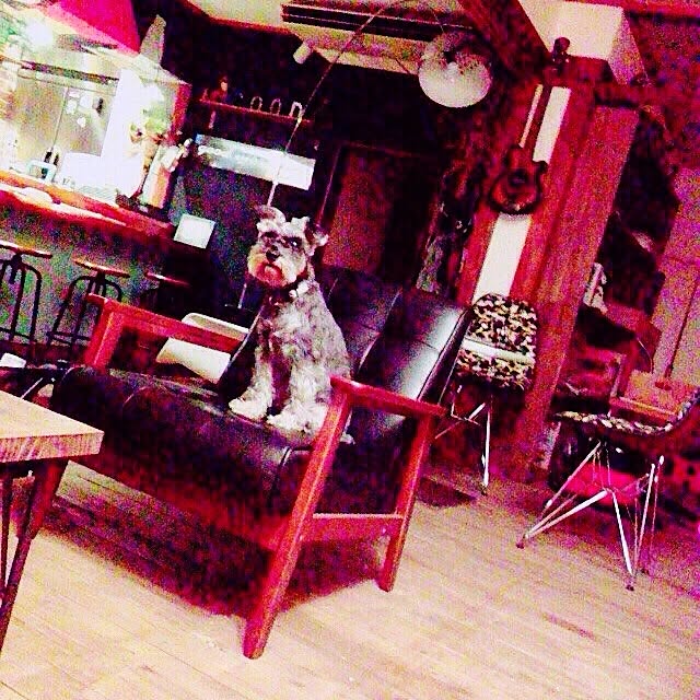 Shinichiさんの実例写真