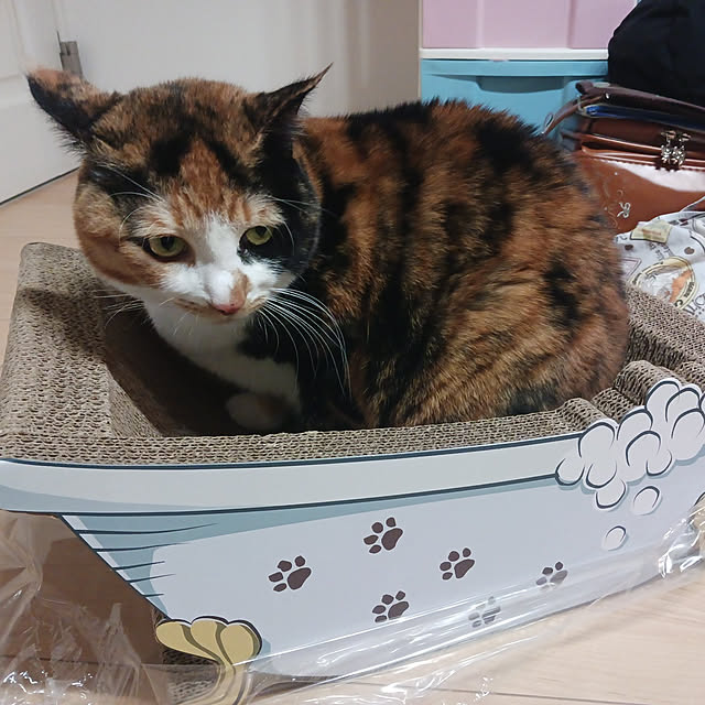 aiさんの実例写真