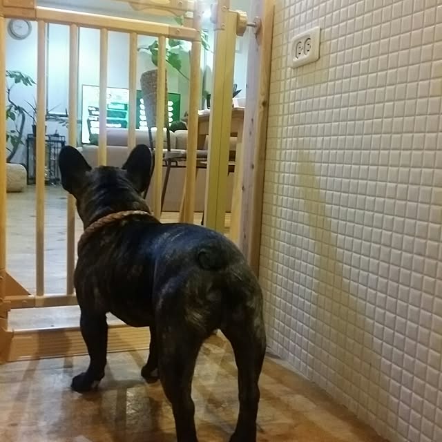 kuuuuさんの実例写真