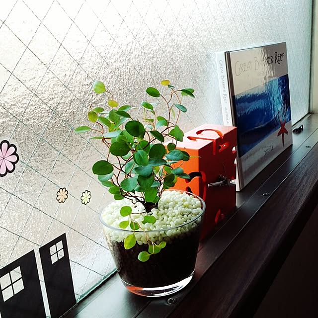 qurioさんの実例写真