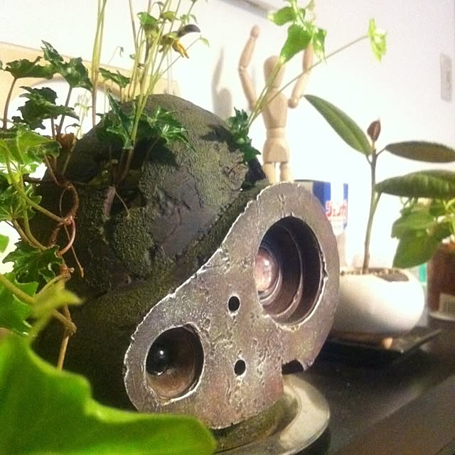 buncoさんの実例写真